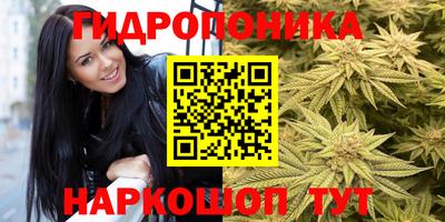 каннабис Малгобек