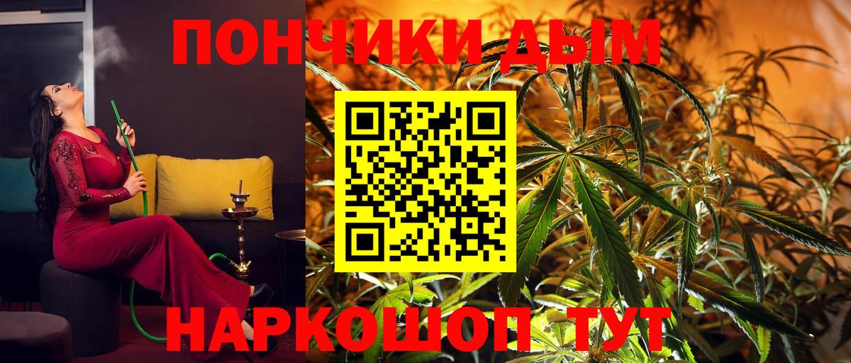 МАРИХУАНА сатива Северобайкальск